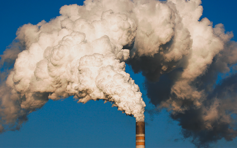 More action on climate change required from Welsh public sector