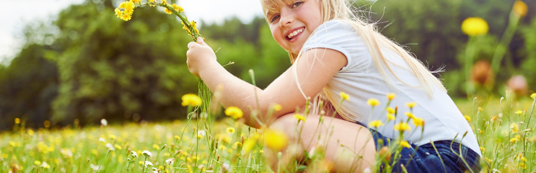 Girl picking flowers in meadow